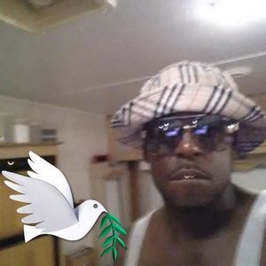 Meet your Posher, Stephens